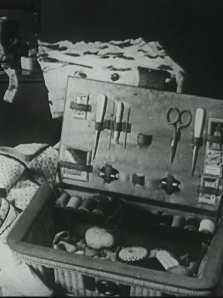 Der Nähkasten poster background