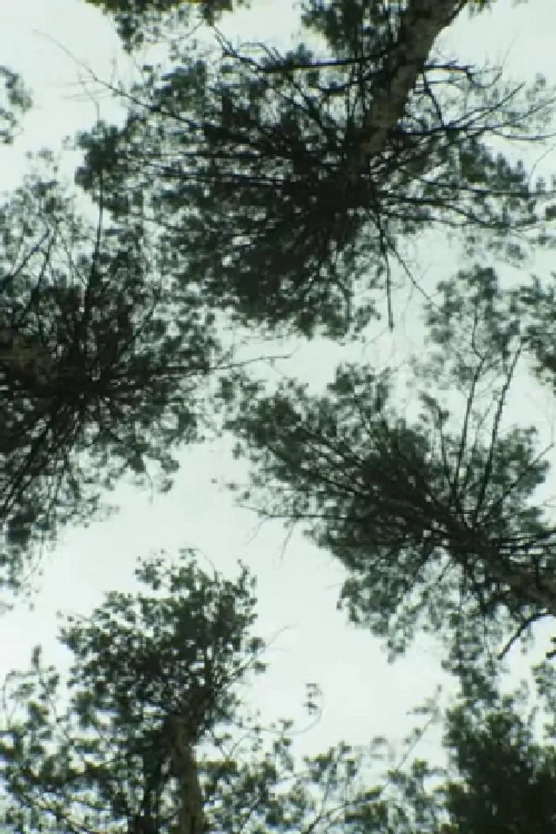 Nature_Nature poster background