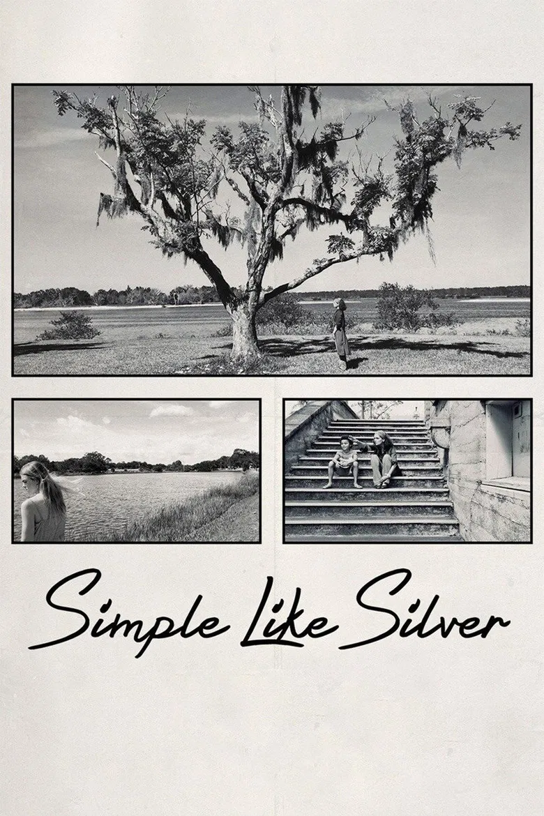Simple Like Silver poster background