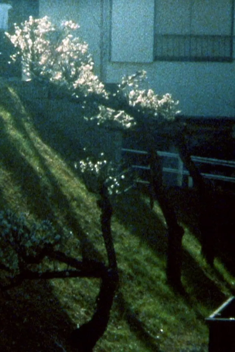 What is it that you said? poster background