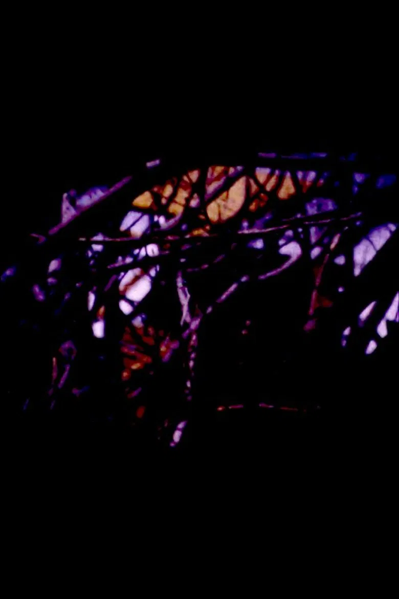 Backyard Winter poster background