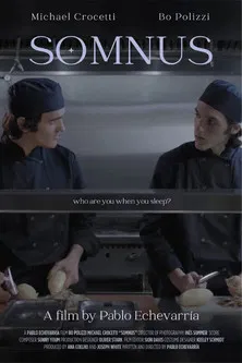 Somnus poster background