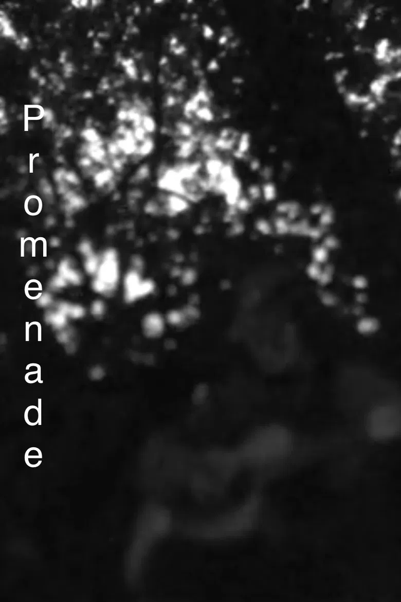 Promenade poster background