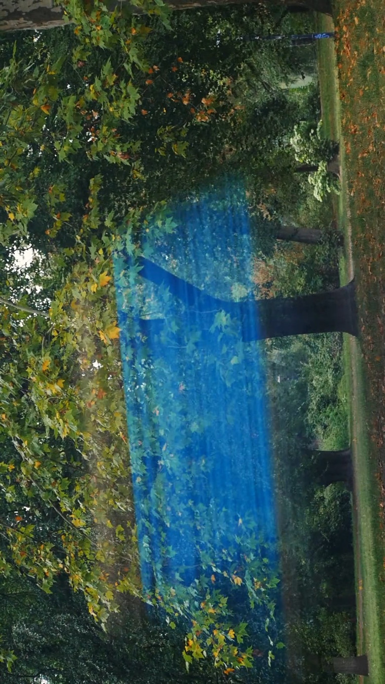 LIBRA poster background