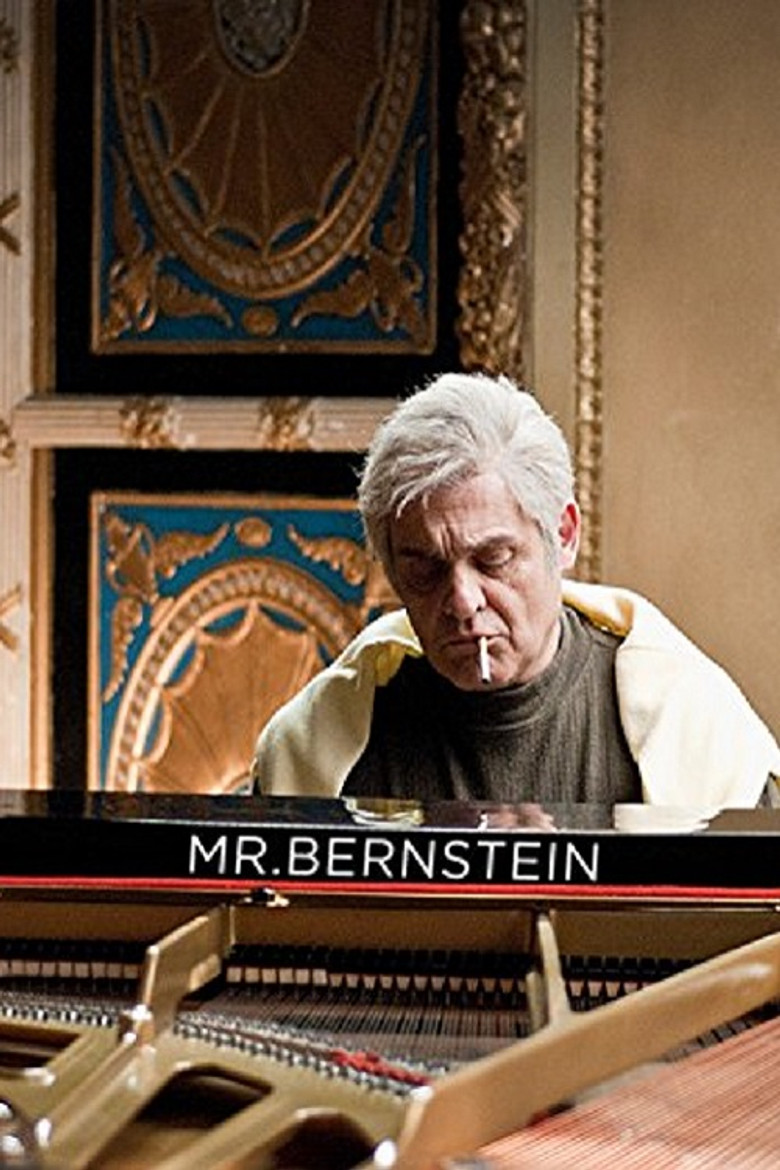 Mr Bernstein poster background