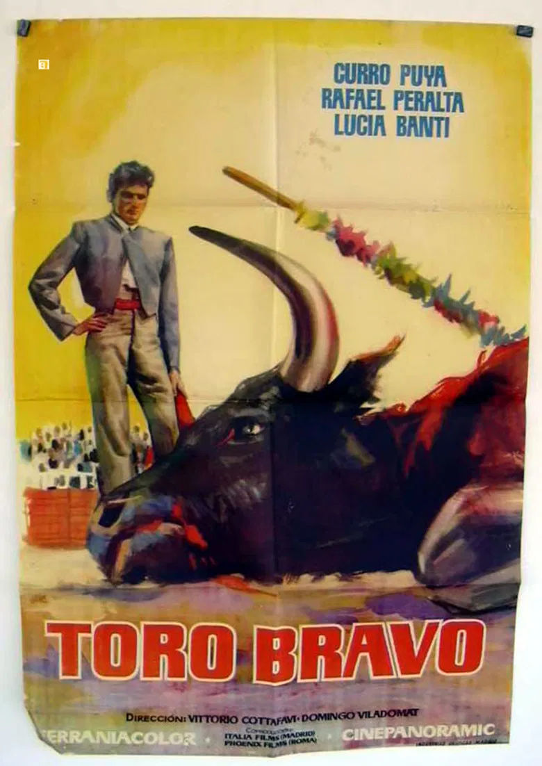 Toro bravo poster background