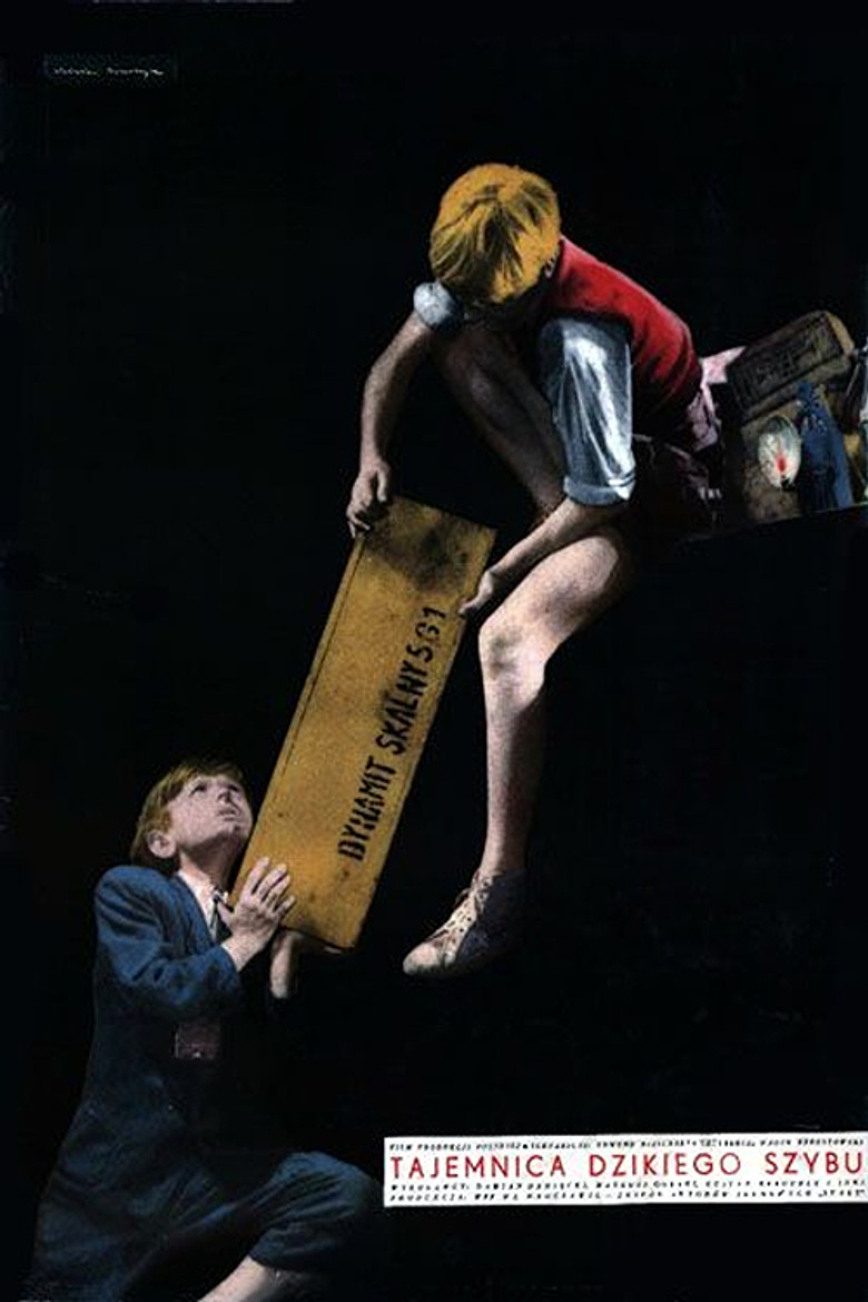 Tajemnica dzikiego szybu poster background