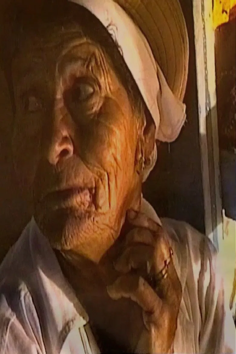 3 Meals poster background