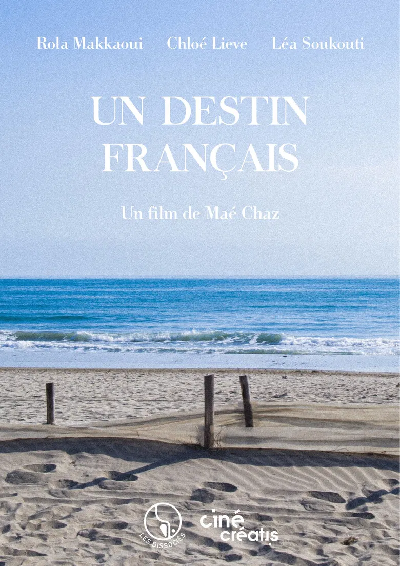 Un destin français poster background