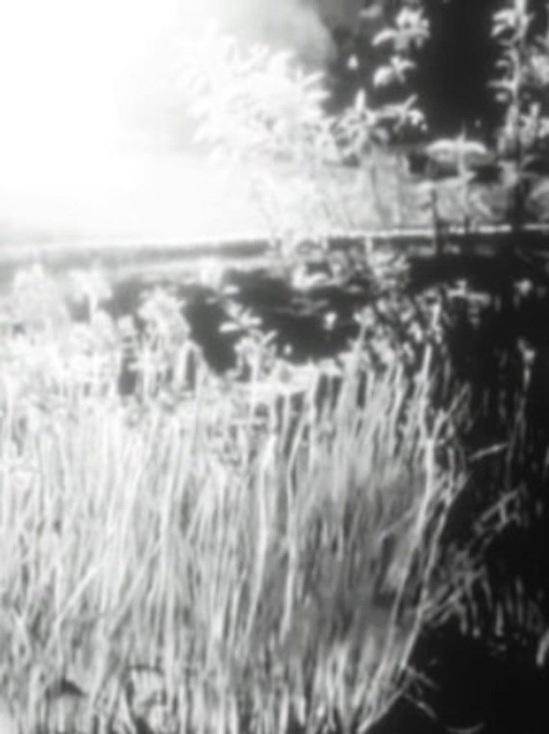 525 poster background