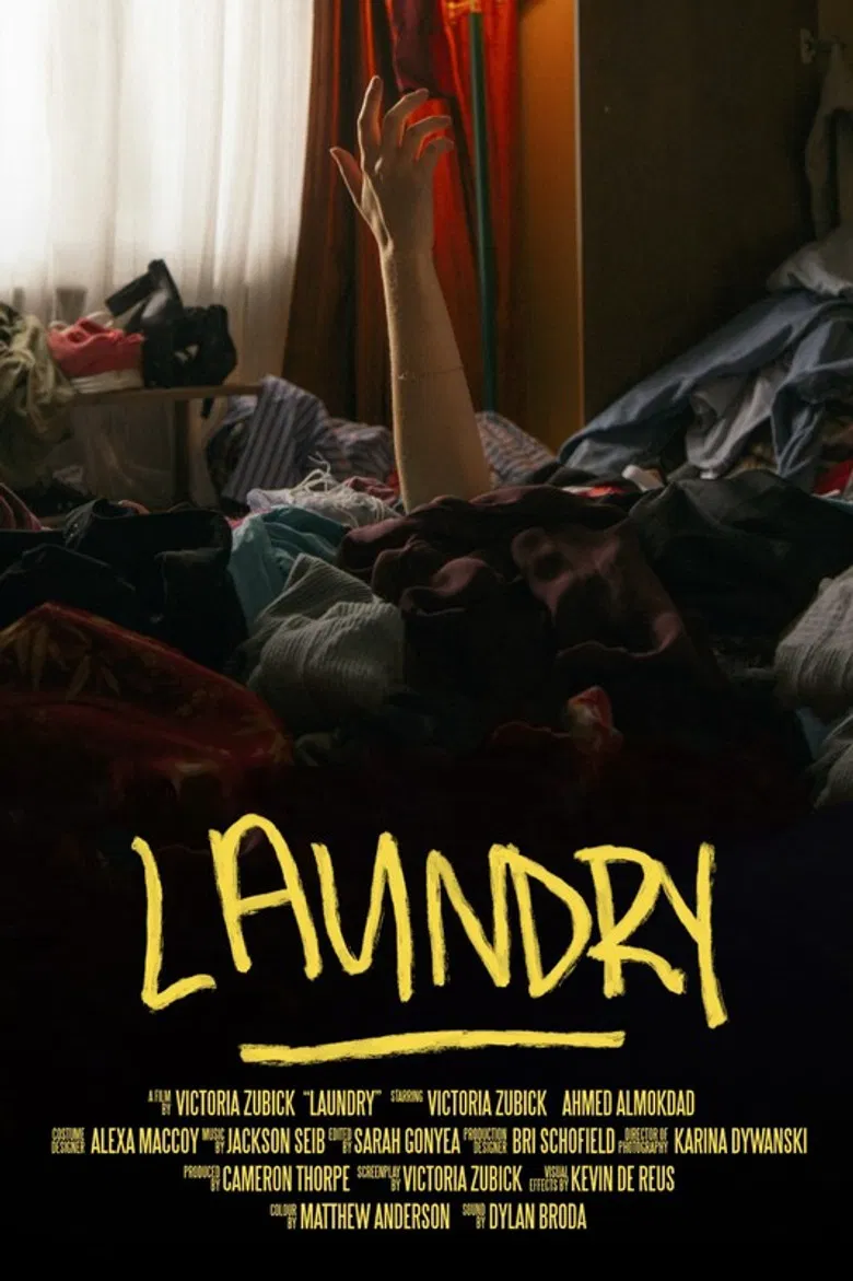 Laundry poster background