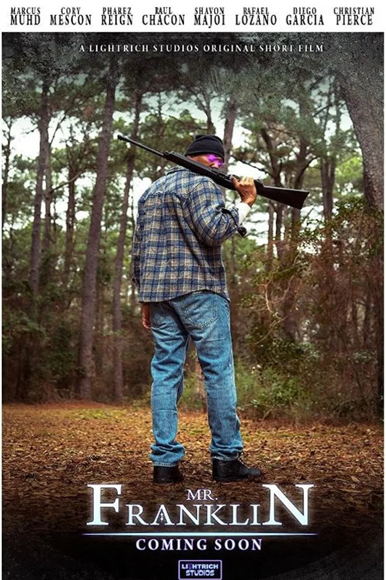 Mr. Franklin poster background