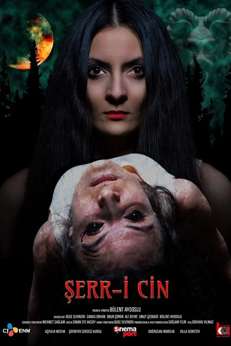 Şerr-i Cin poster background