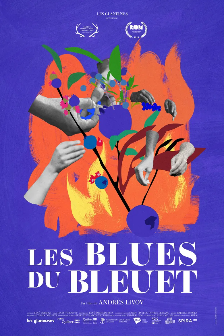 The Blueberry Blues poster background