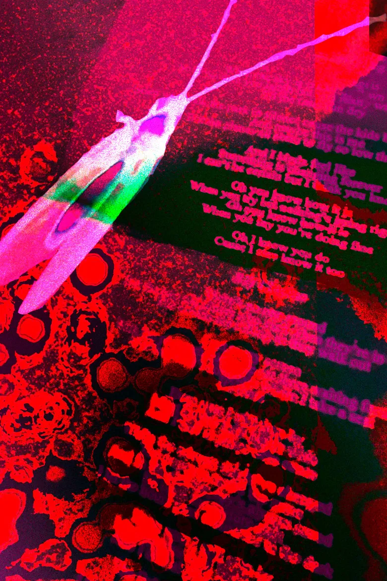 Observações do Dr. Cânhamo poster background