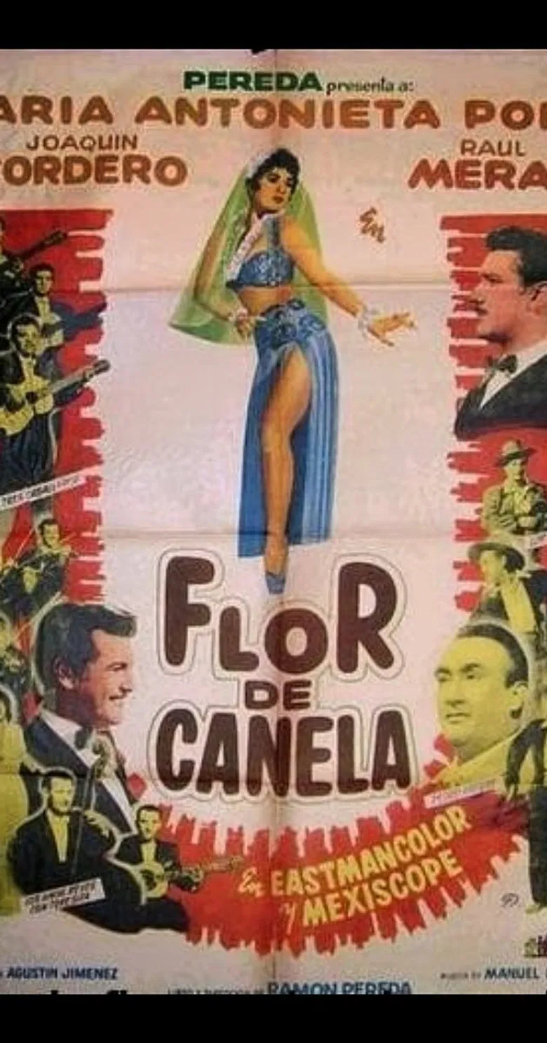 Flor de canela poster background