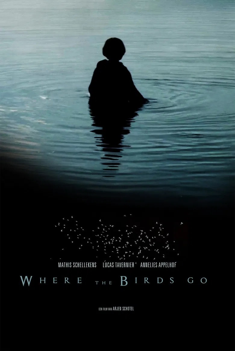 Where the birds go poster background