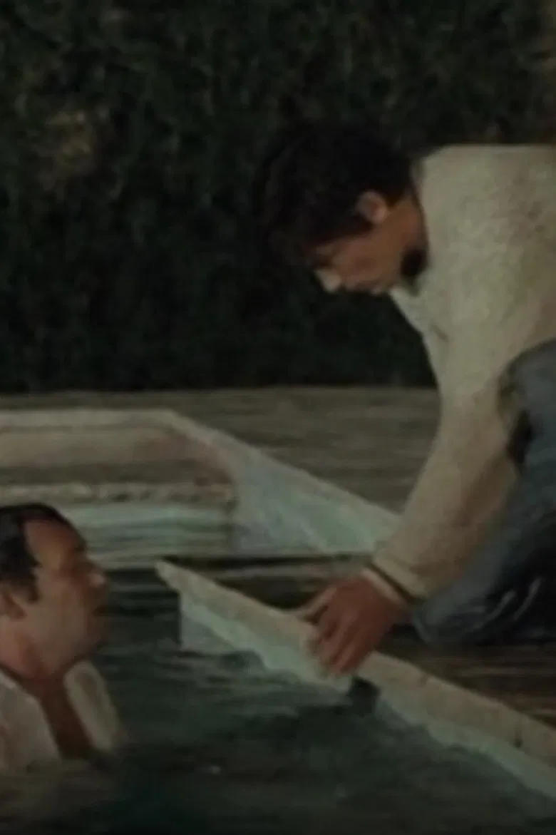 Un bon copain poster background