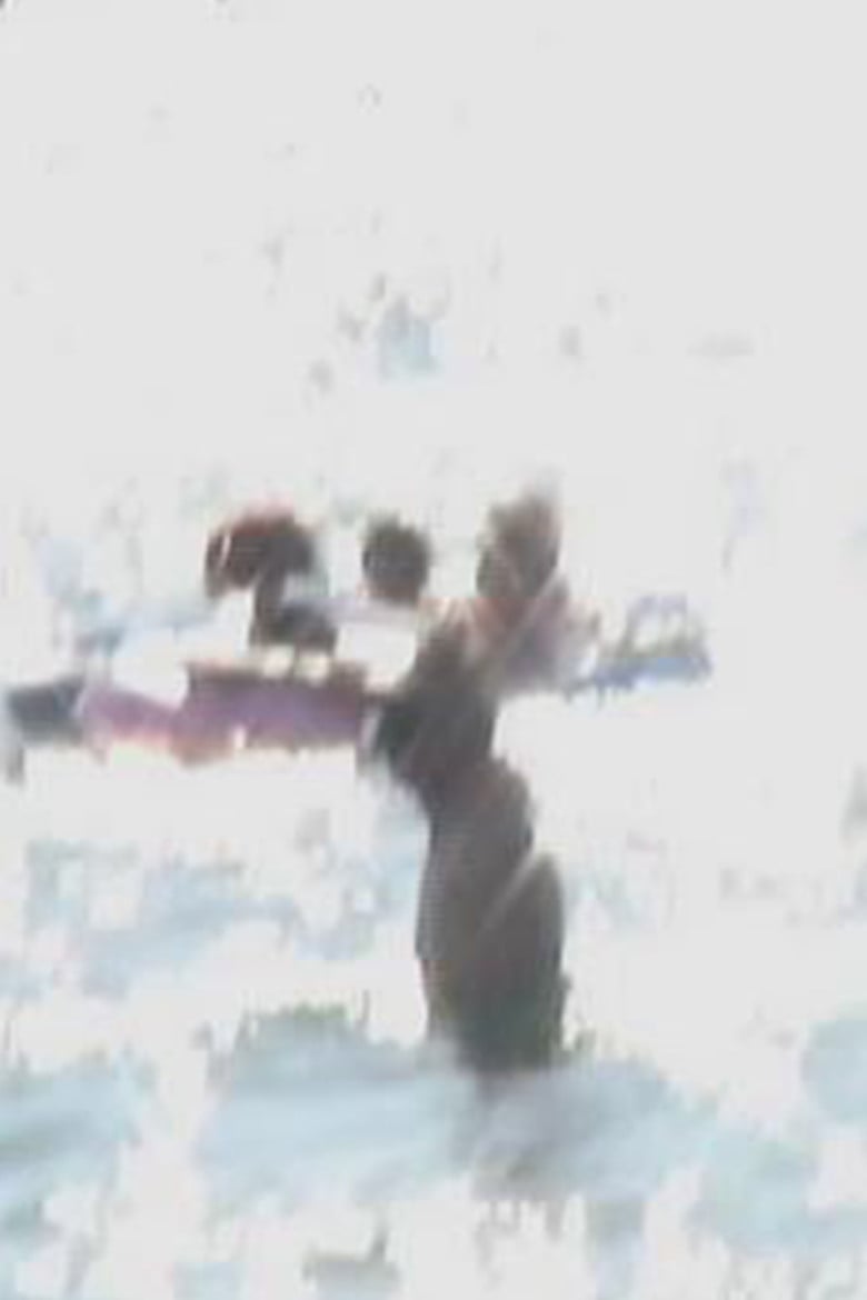 Endless Summer End poster background