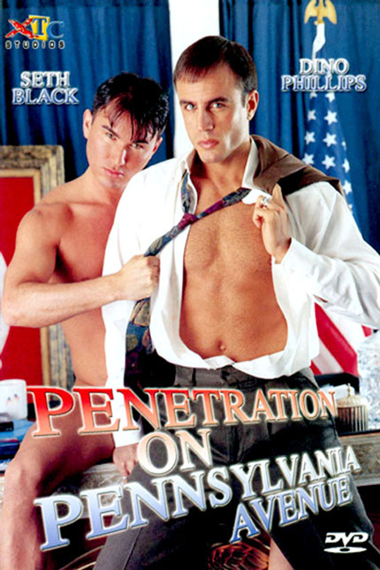 Penetration on Pennsylvania Avenue poster background