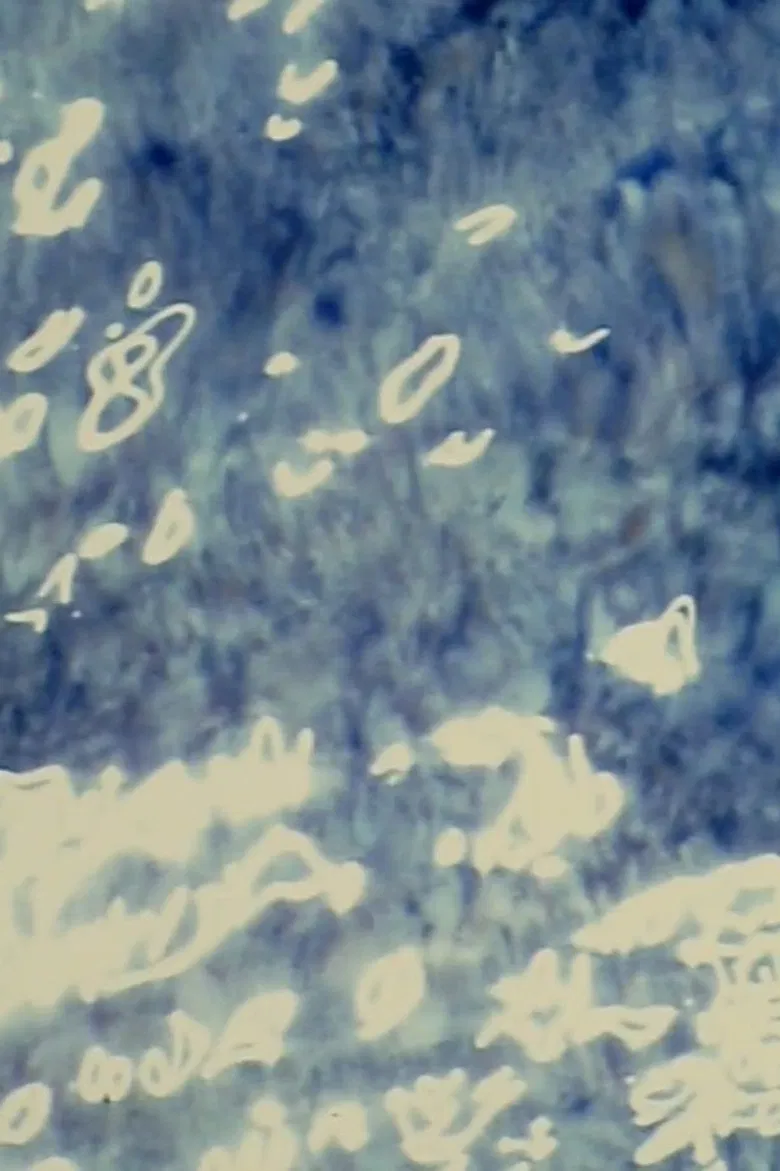 Ver piedras/Signos de sol poster background