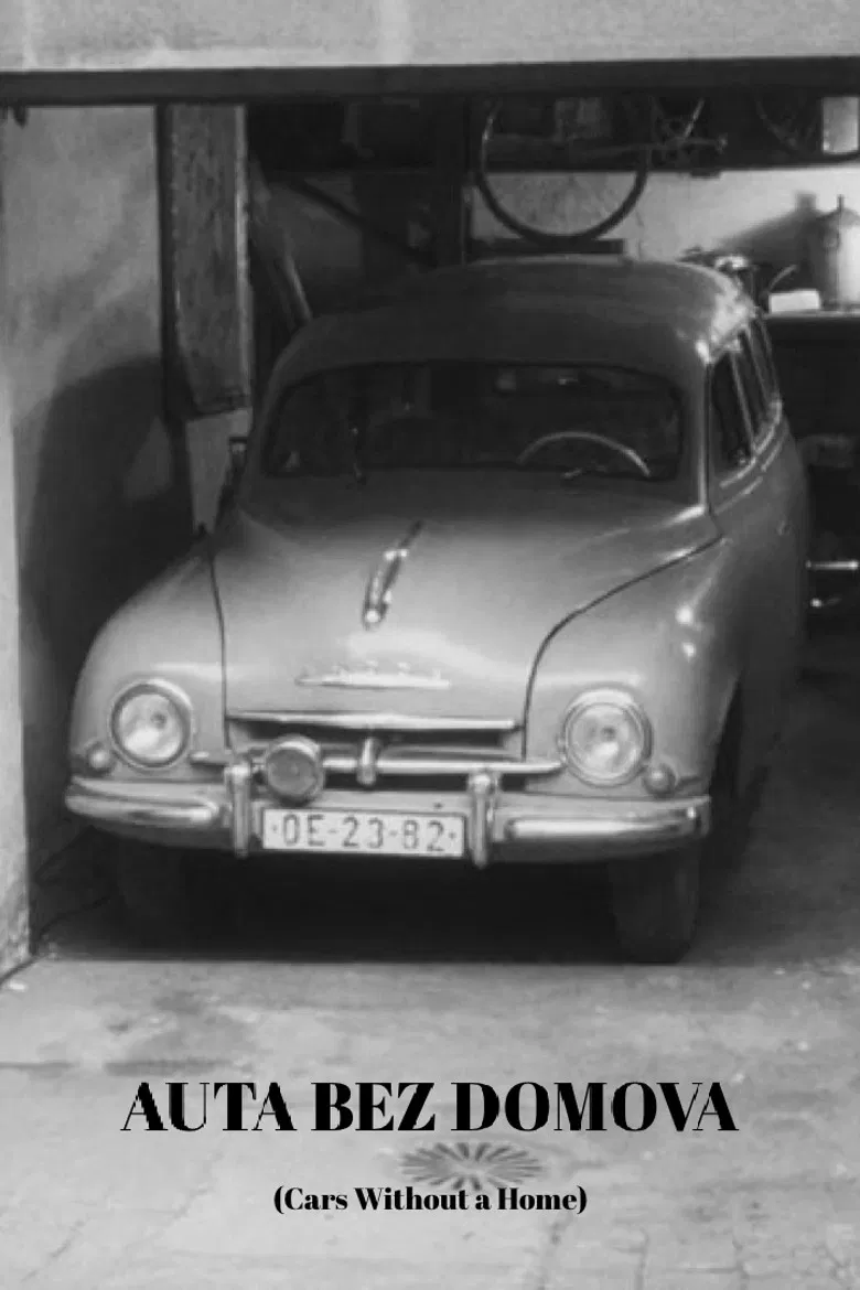 Cars Without a Home poster background