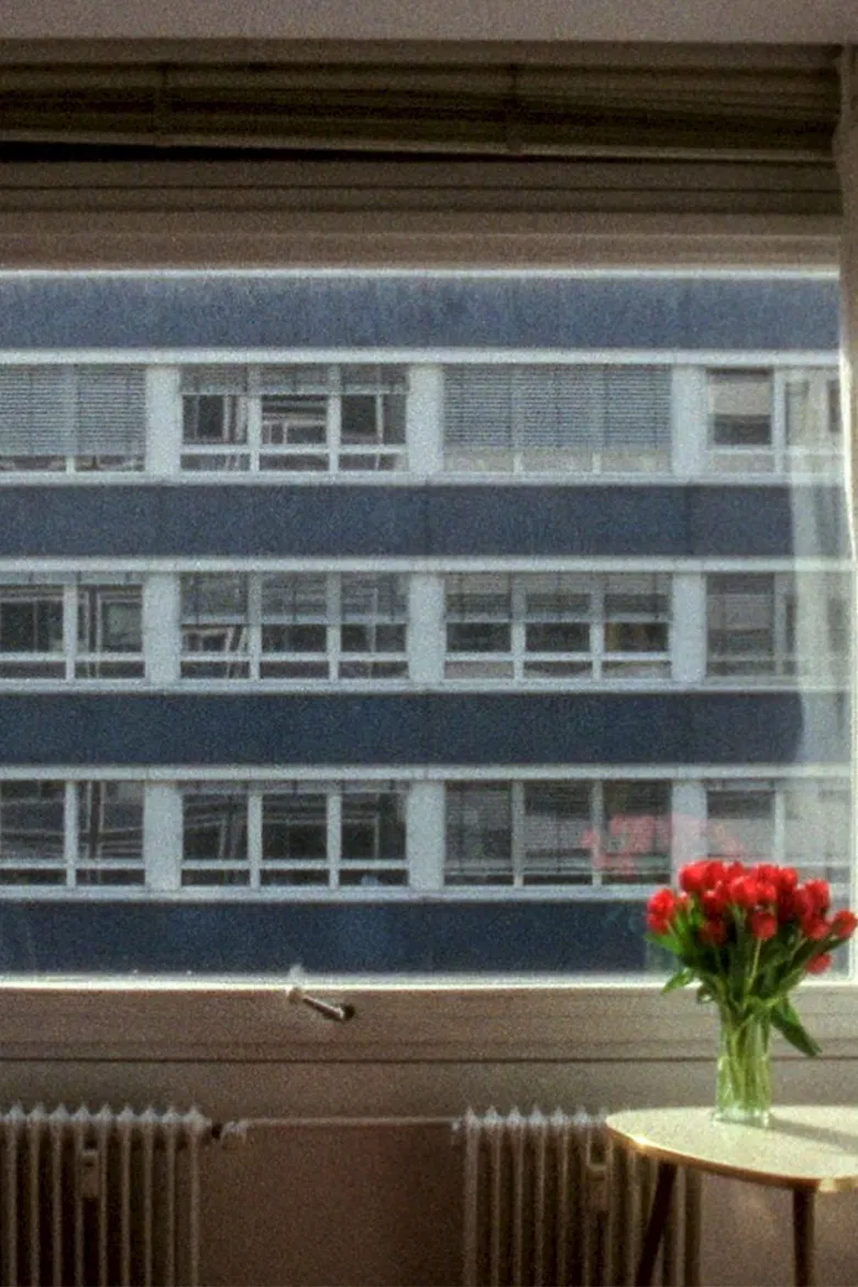 21.3 °C poster background