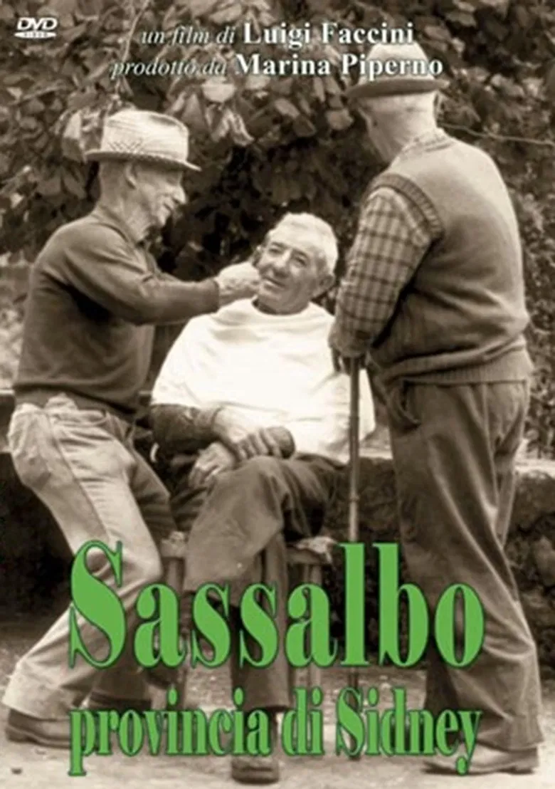 Sassalbo provincia di Sydney poster background