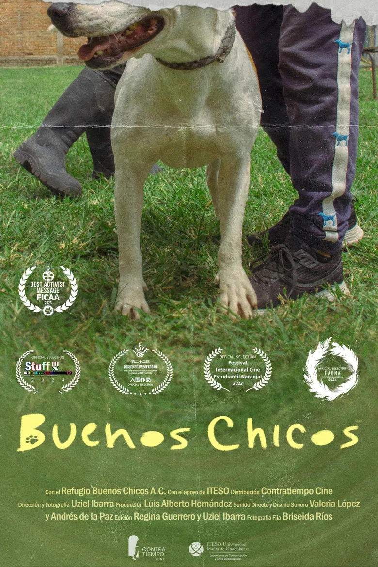 Buenos Chicos poster background