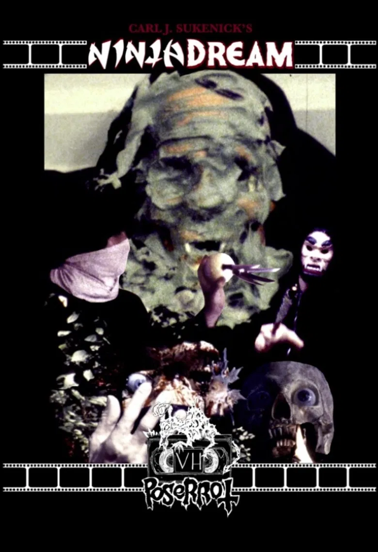 Ninja Dream poster background