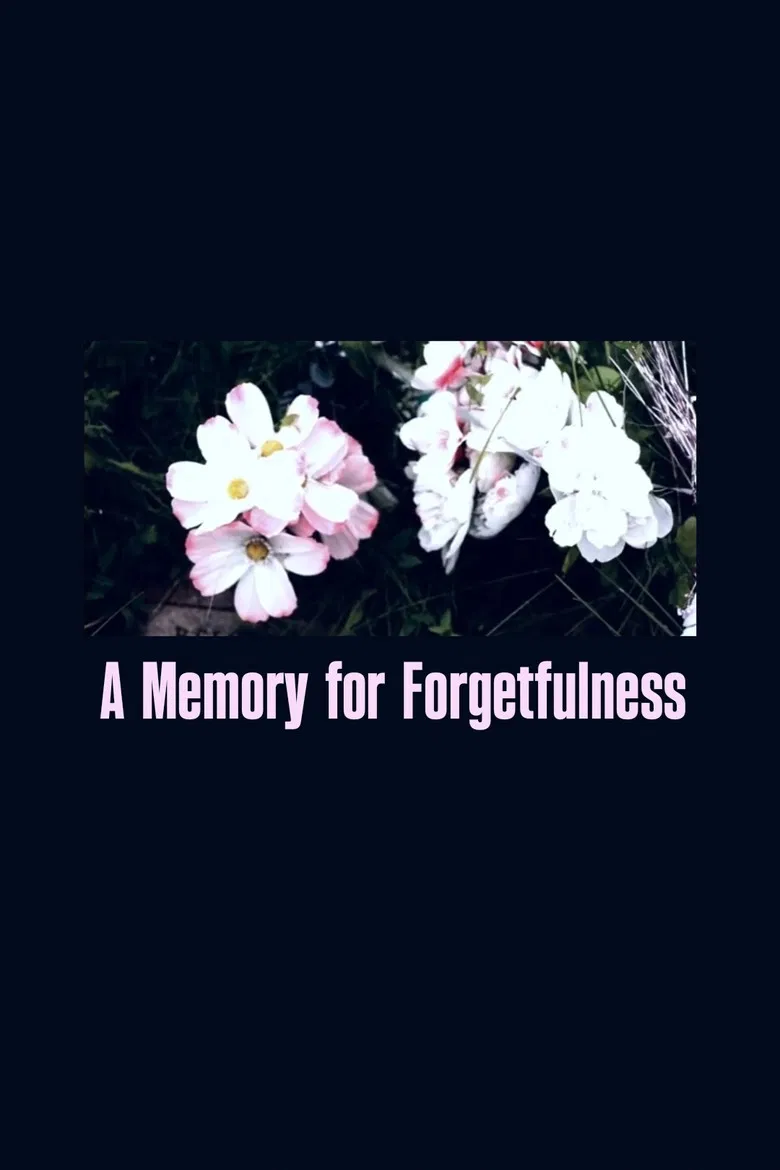 A Memory For Forgetfulness poster background