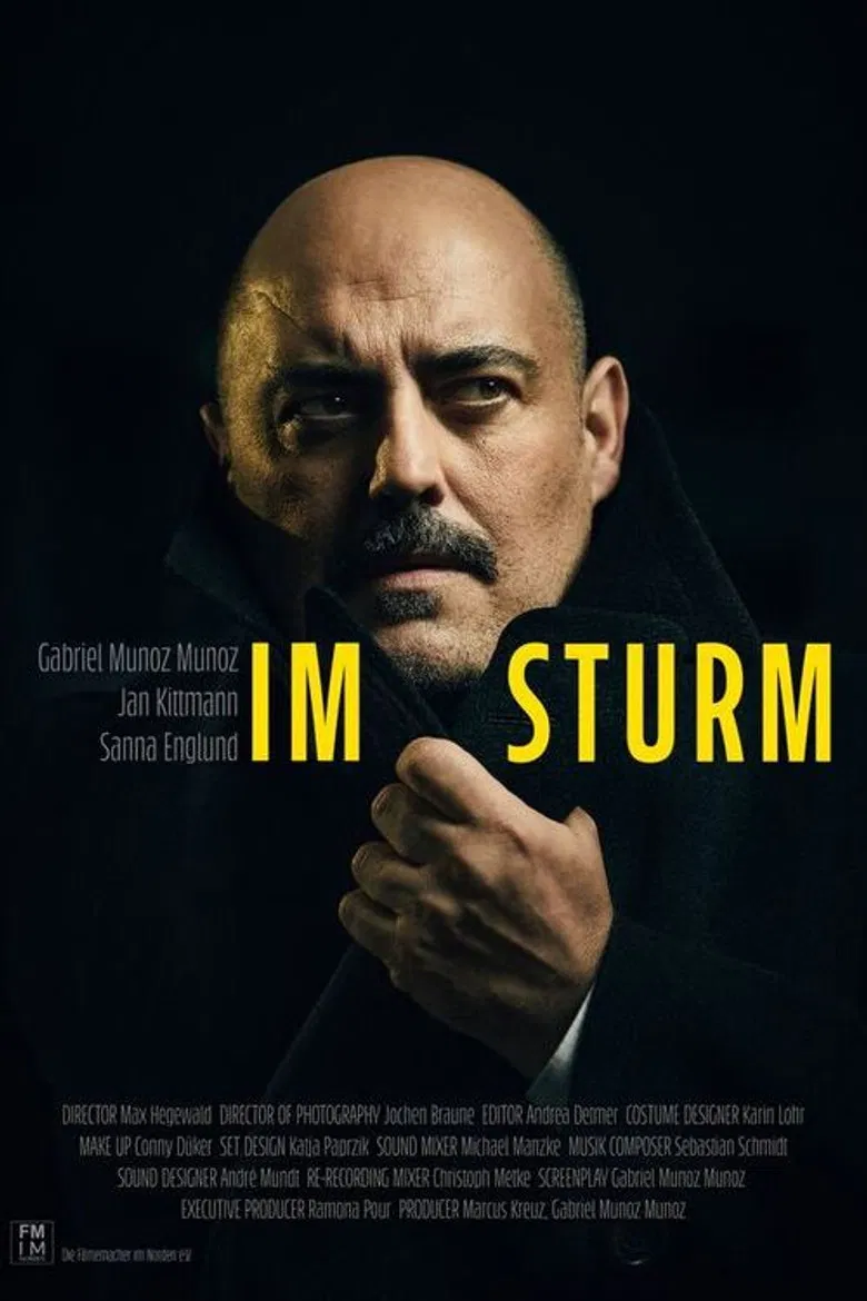 Im Sturm poster background