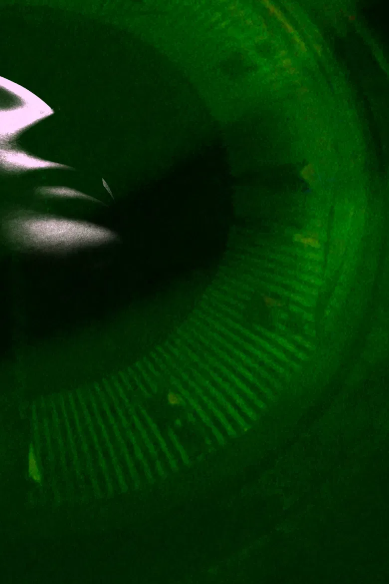 Amorist Saplings poster background