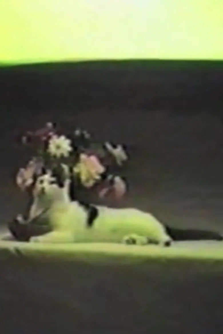 Whispering Pines Zero poster background