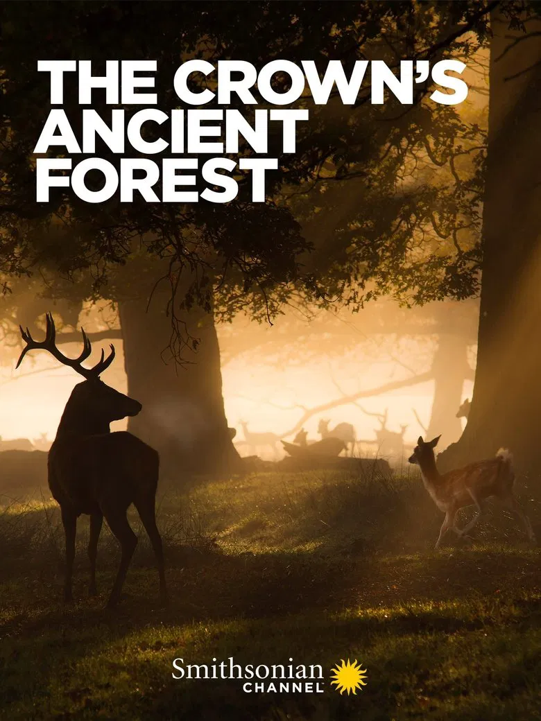 The Crown's Ancient Forest poster background