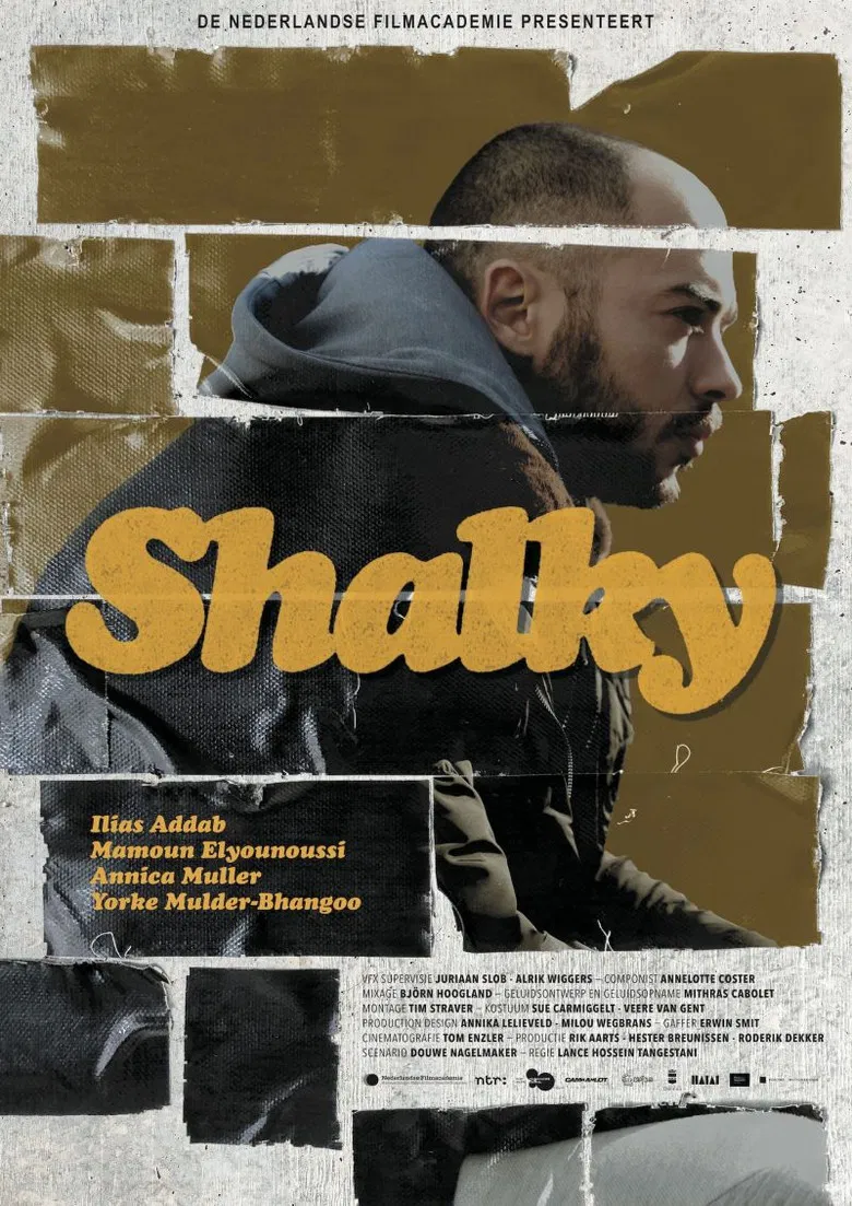 Shalky poster background