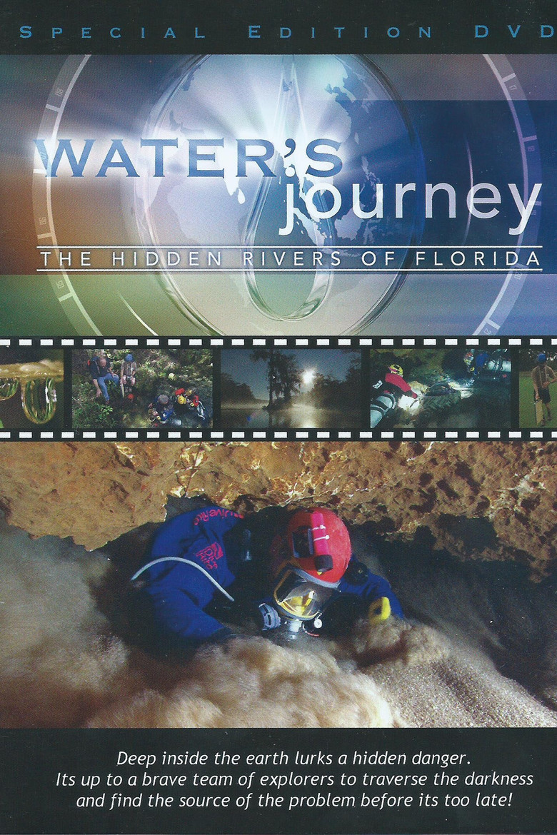 Water's Journey: The Hidden Rivers of Florida poster background