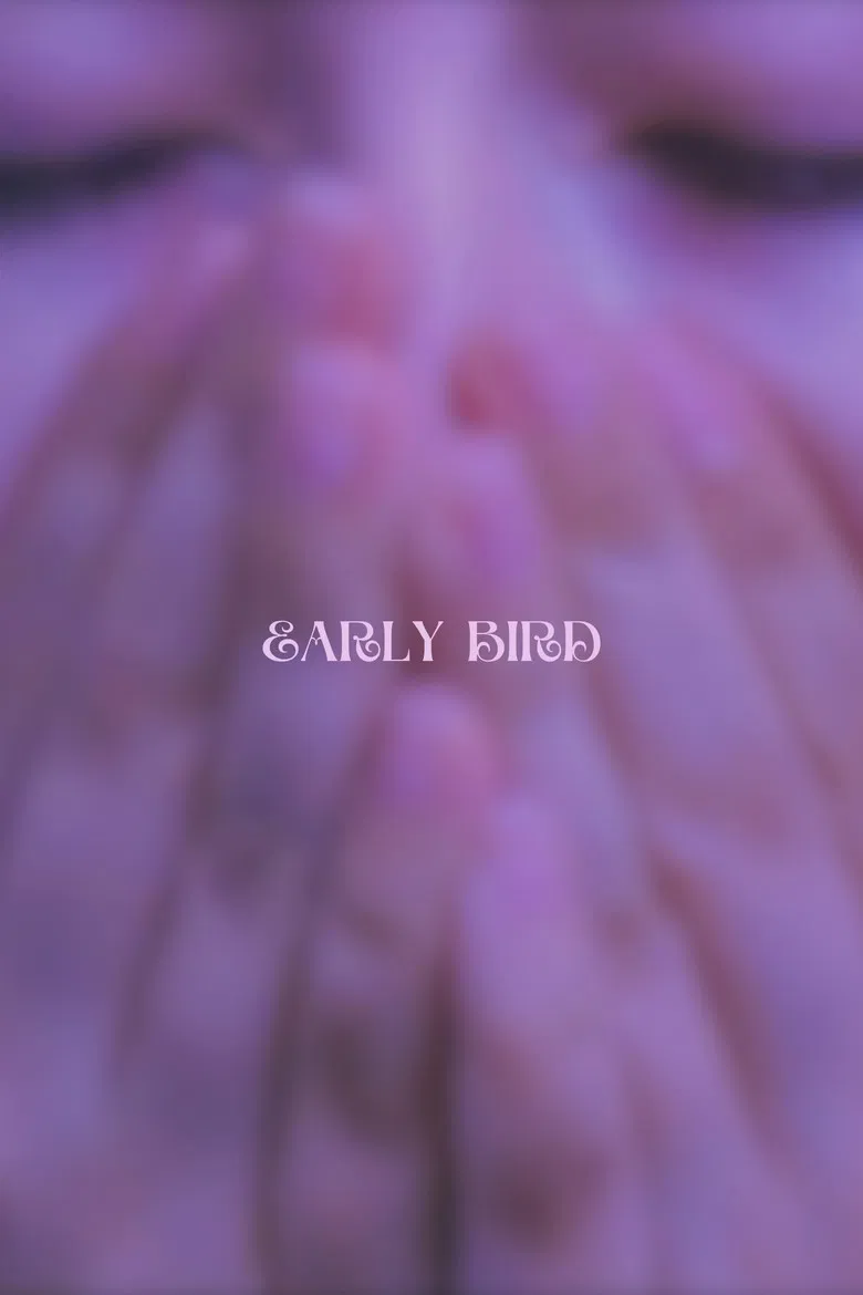 Early Bird poster background