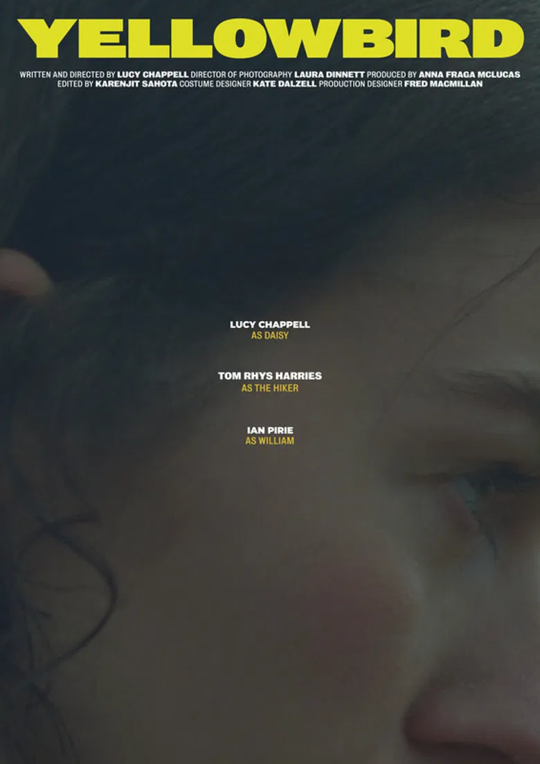 Yellowbird poster background