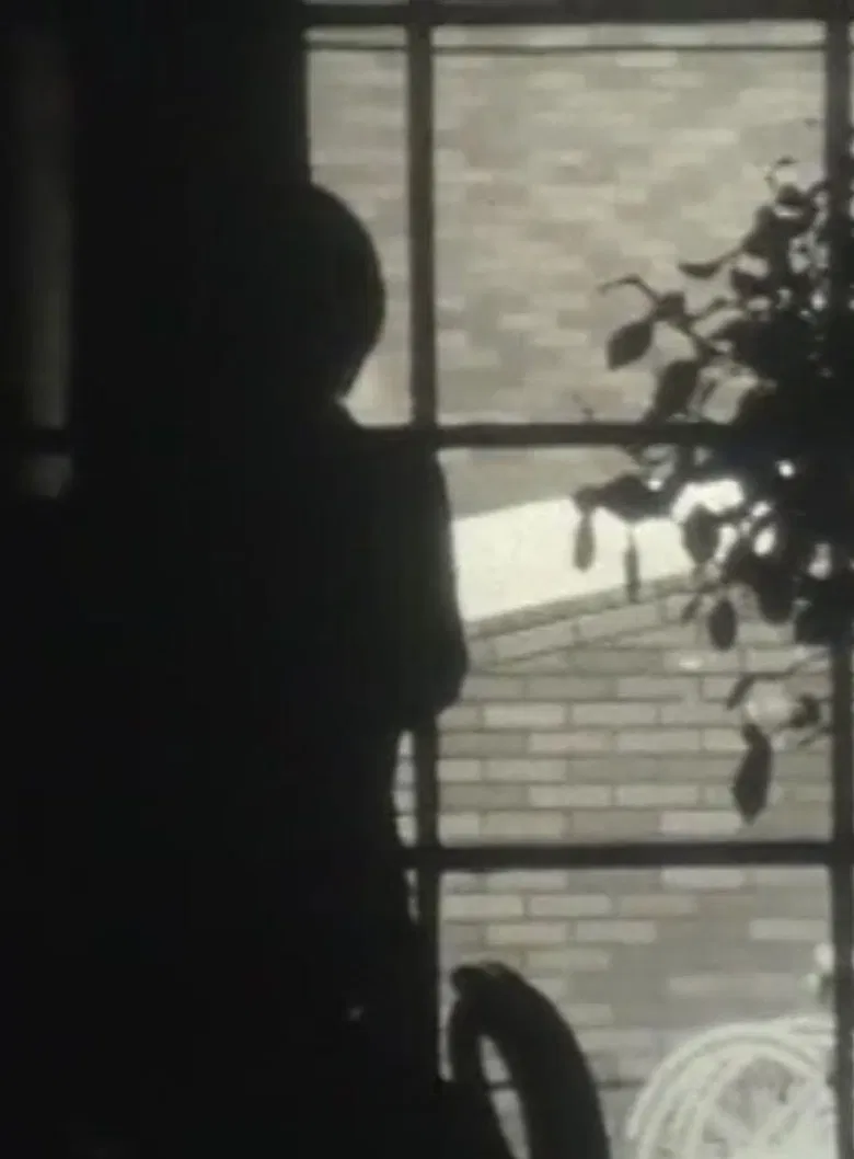 Tokyo Nostalgia poster background