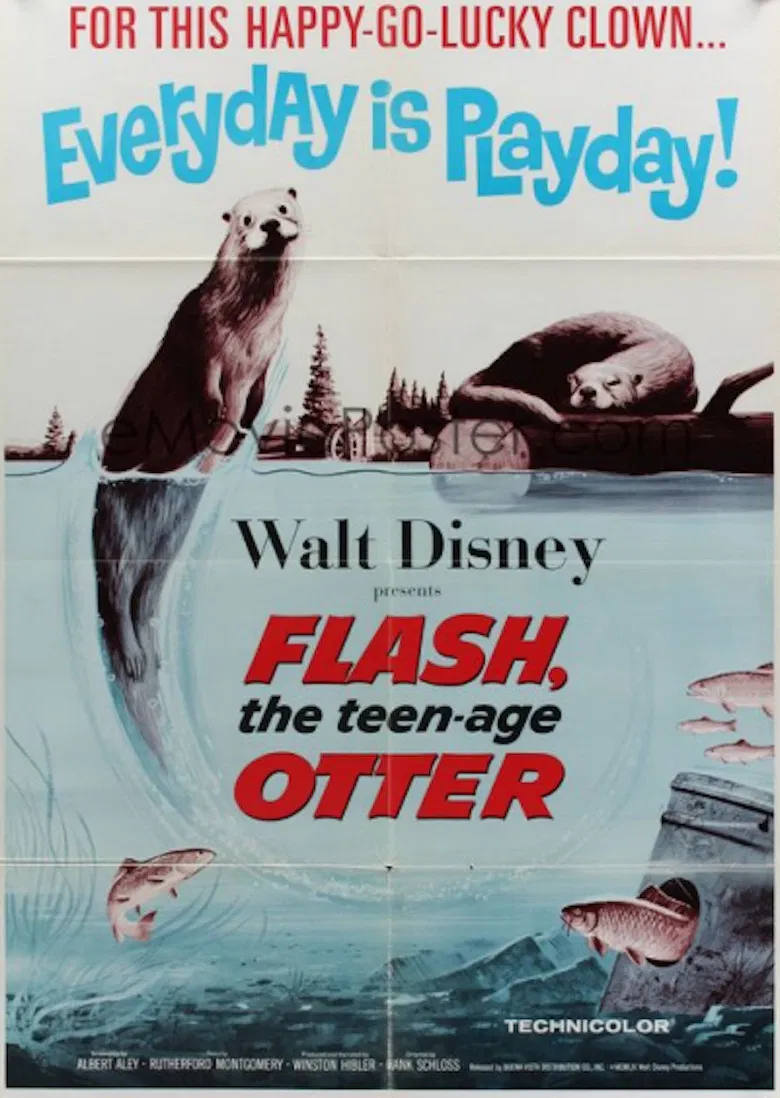 Flash, The Teenage Otter poster background