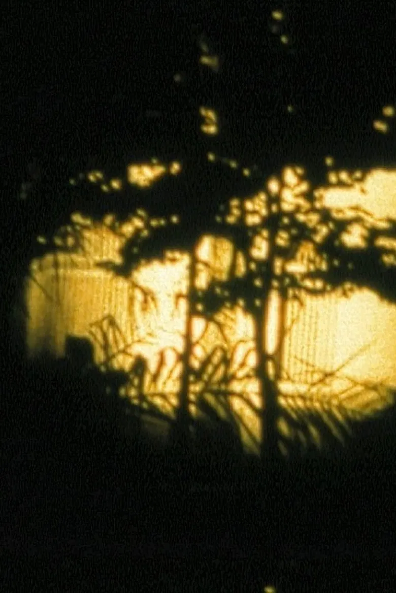 Hôtel Turkoman poster background