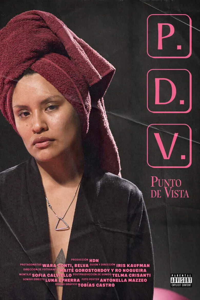 PDV (Punto de vista) poster background