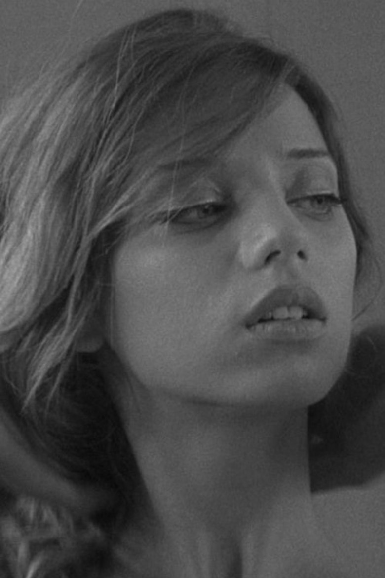 Velvet poster background