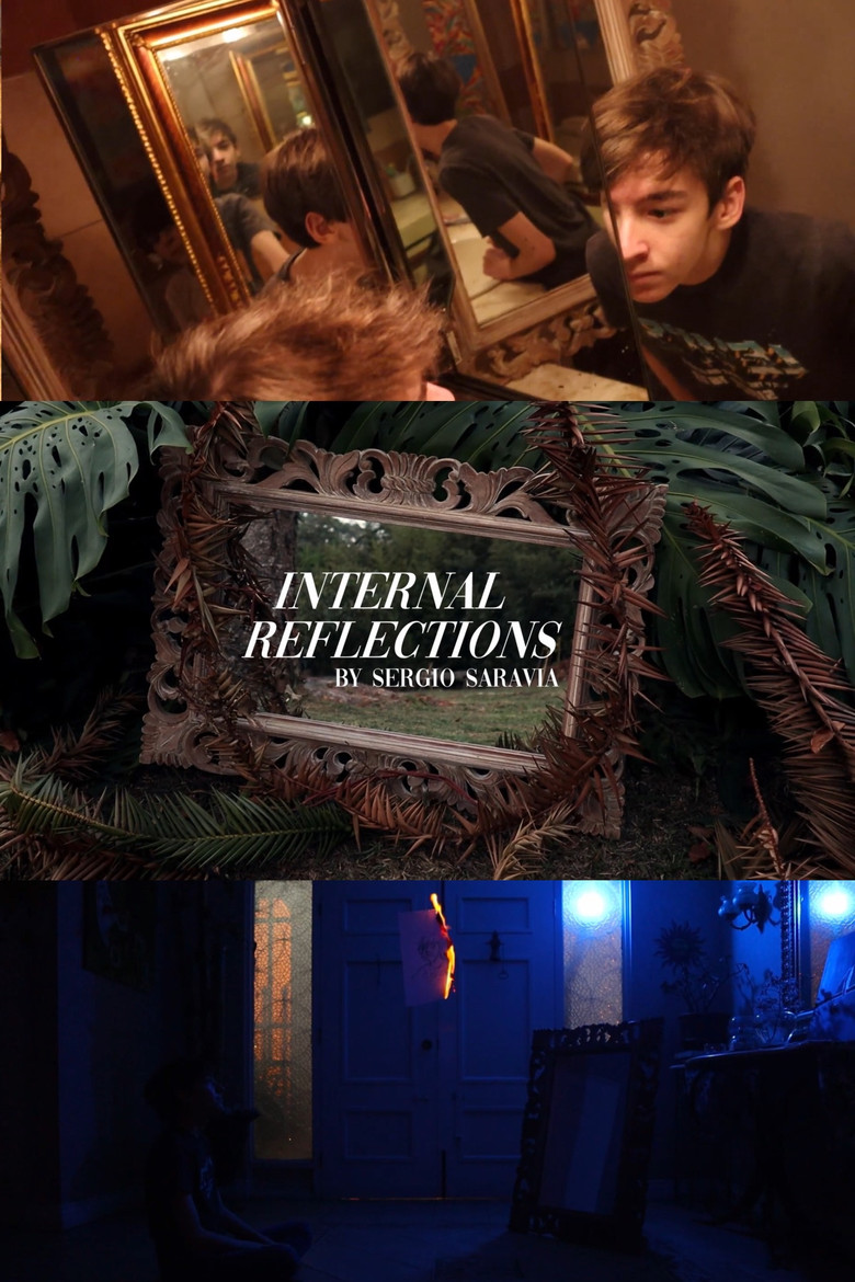 Internal Reflections poster background