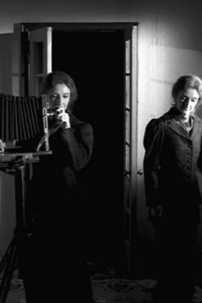 The Multiple Selves of Hannah Maynard poster background