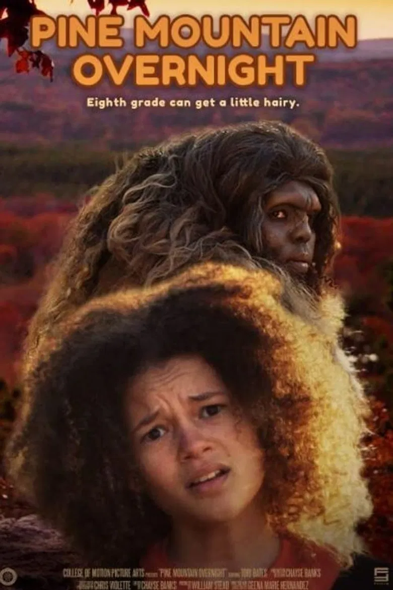 Pine Mountain Overnight poster background