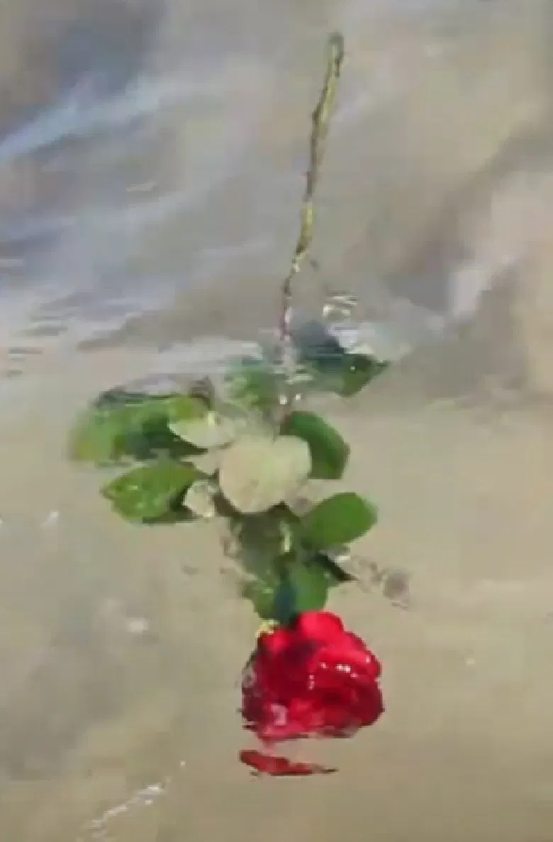 A Red, Red Rose poster background