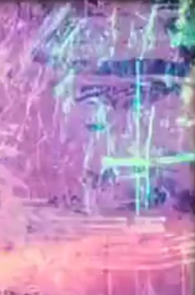 Bon Ami poster background