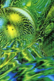 Float poster background